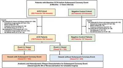 Anatomic and Hemodynamic Plaque Characteristics for Subsequent Coronary Events